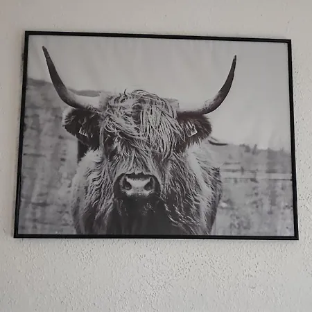 Zum Flughafen Appartement Düsseldorf